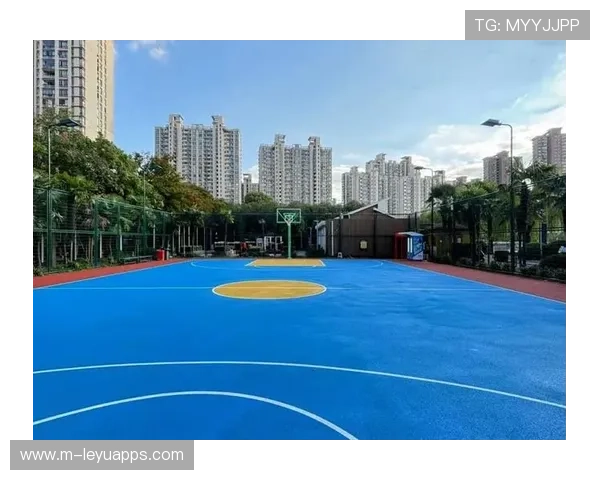 城市篮球地标赛 在地标建筑前搭建临时球场，城市篮球场归什么地方管